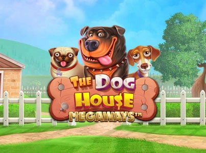 the dog house megaways